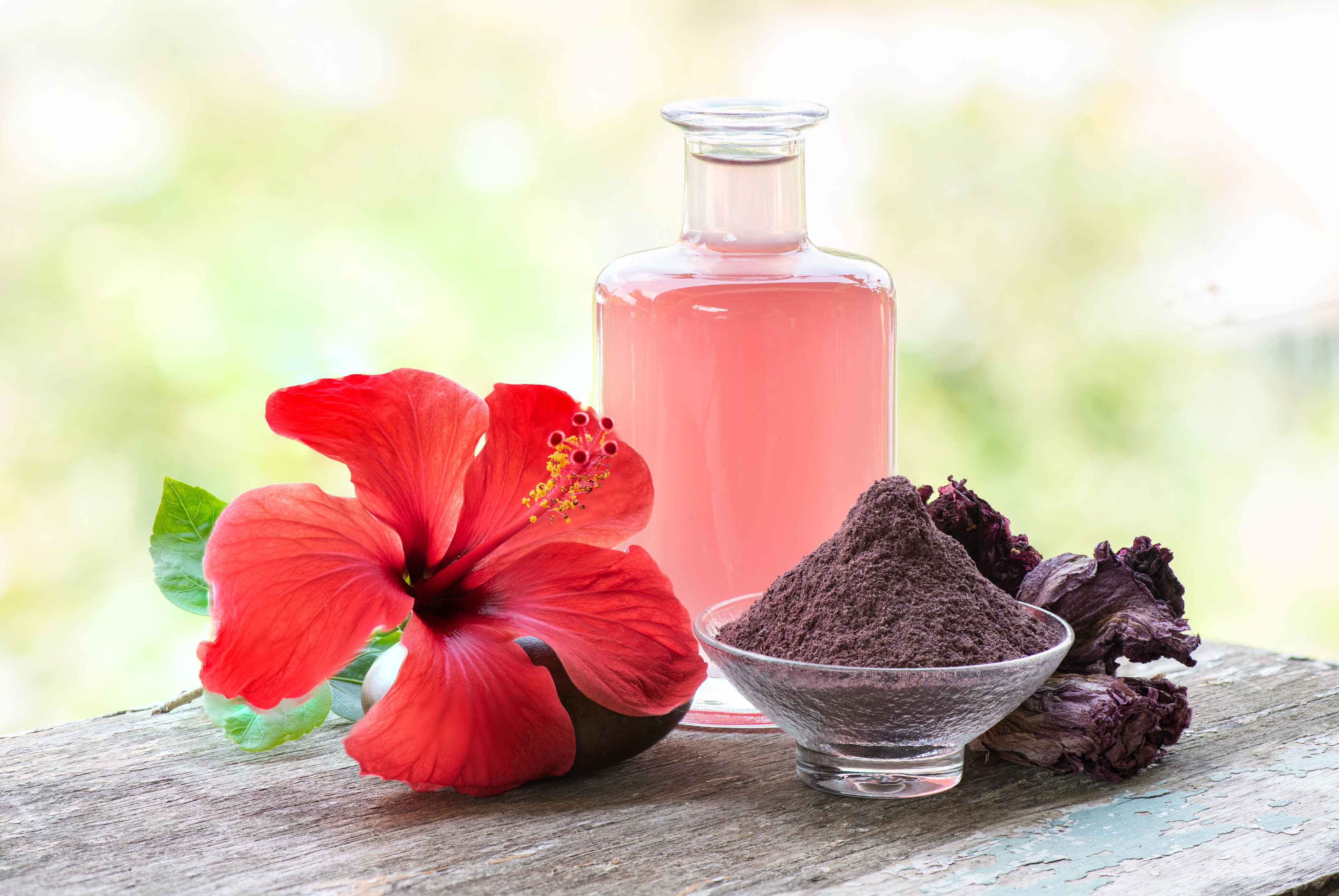 Hibiscus extract