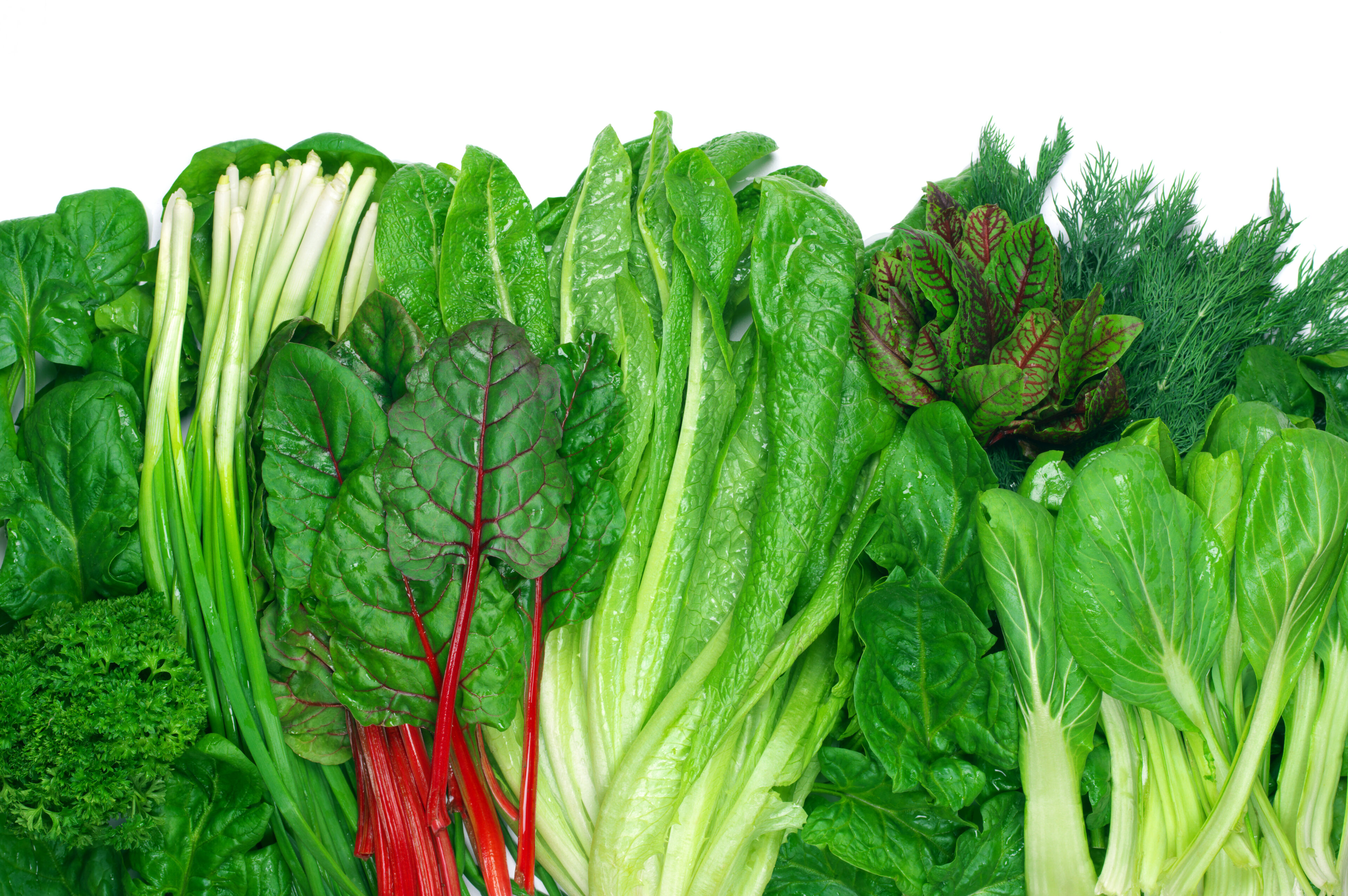 Various green leafy vegetables in a row on a white background
