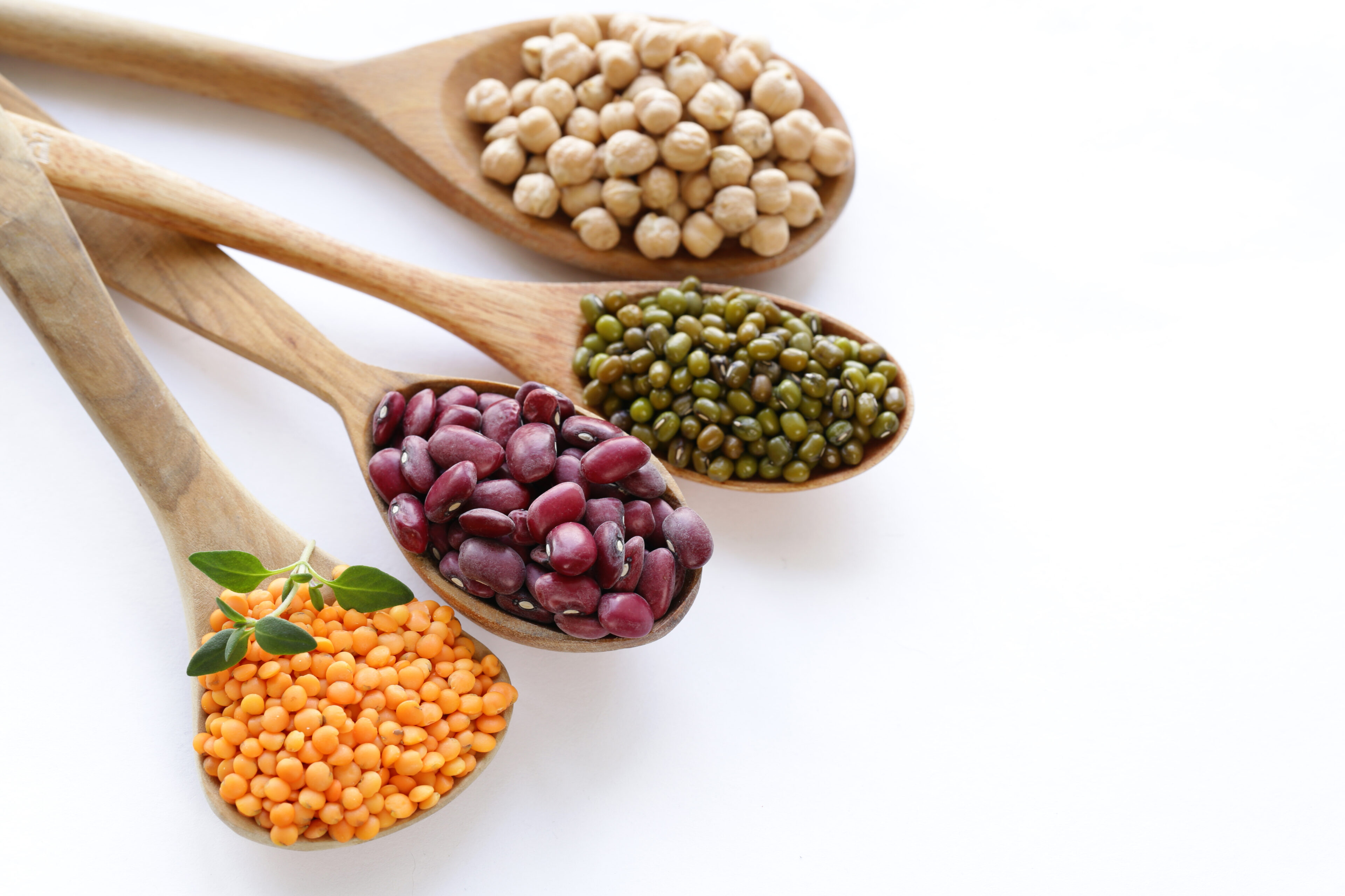 Various kinds of legumes - beans, lentils, chickpeas, mung beans