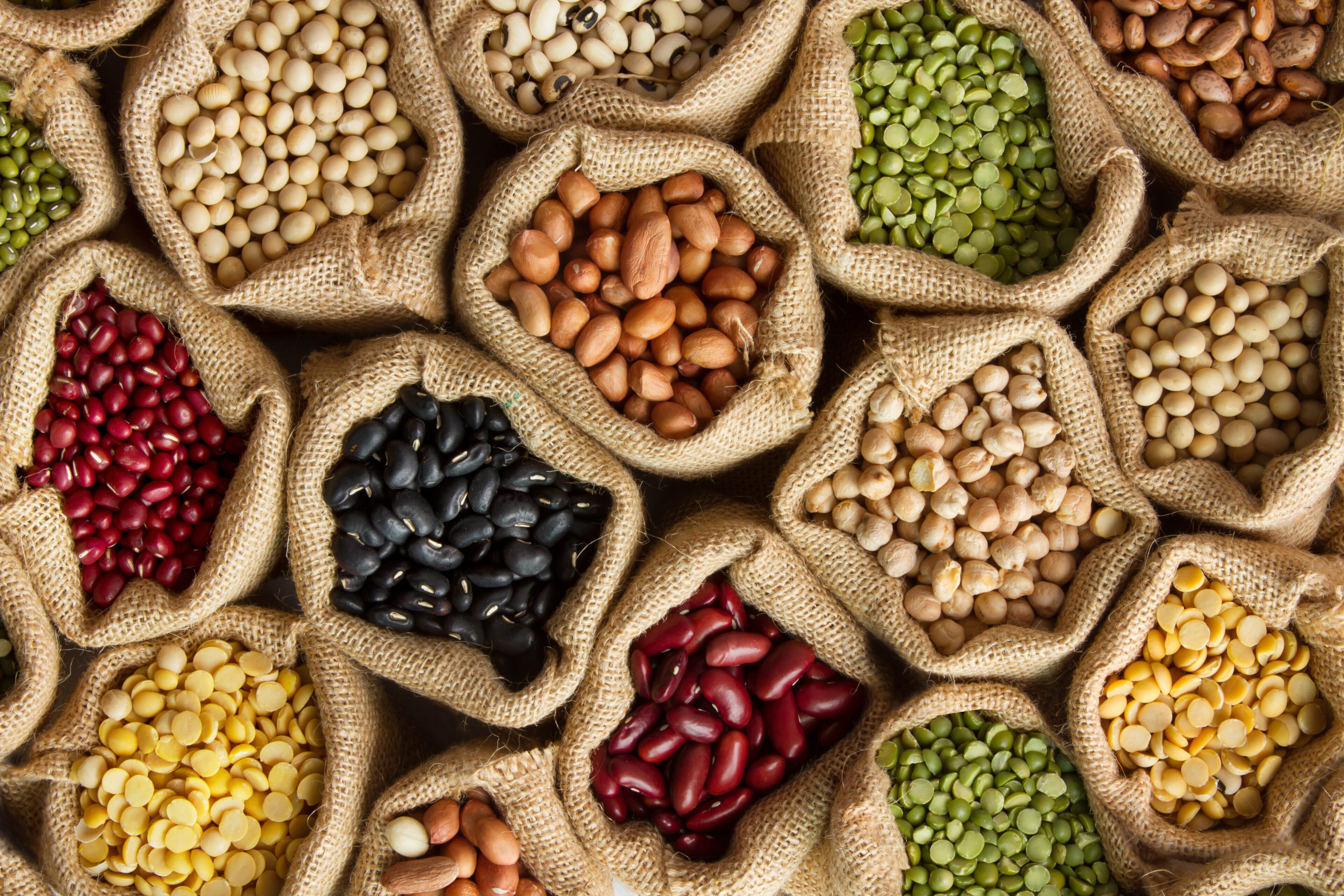 Nuts and seeds in a sack