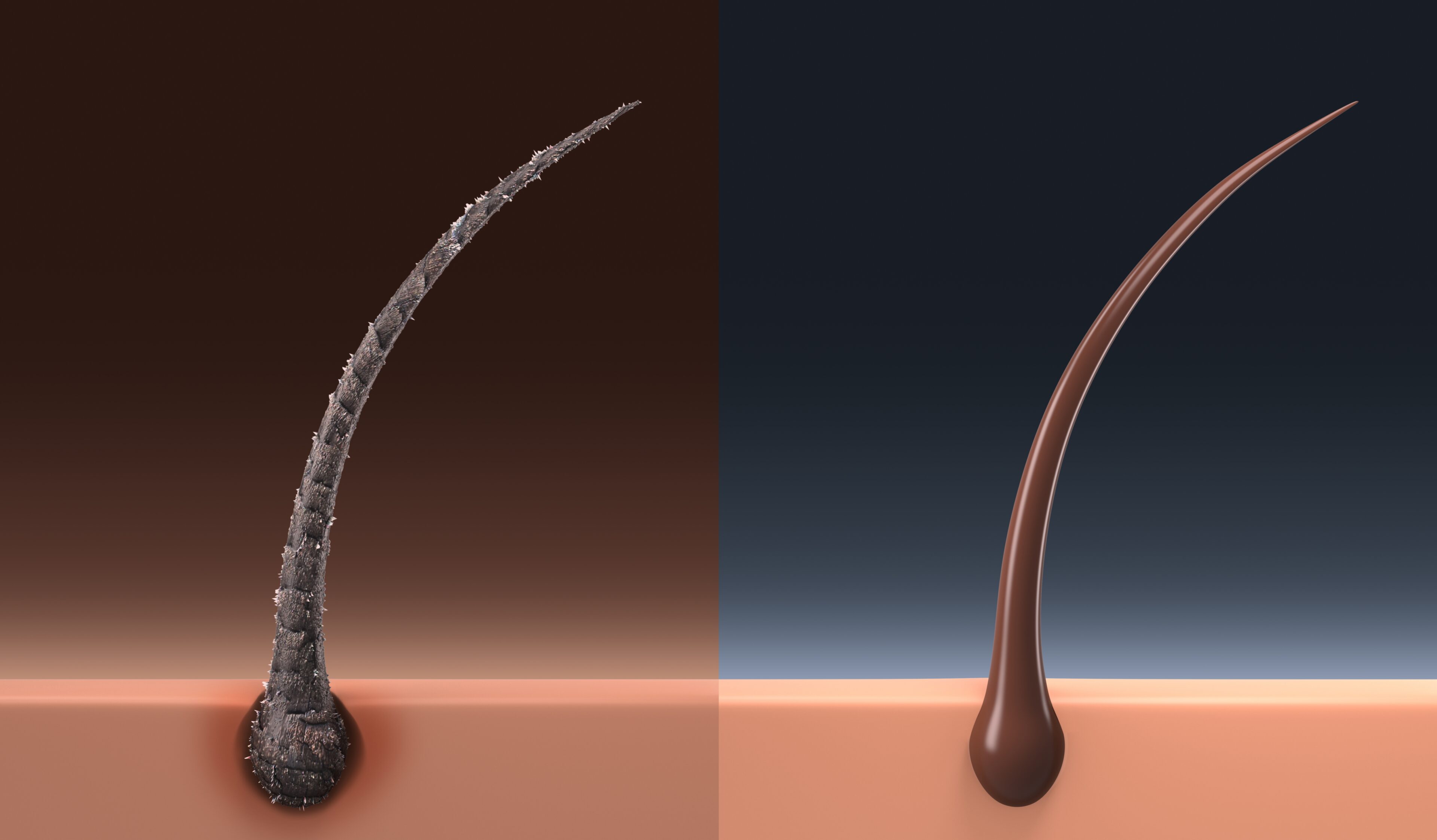 Preserve hair form