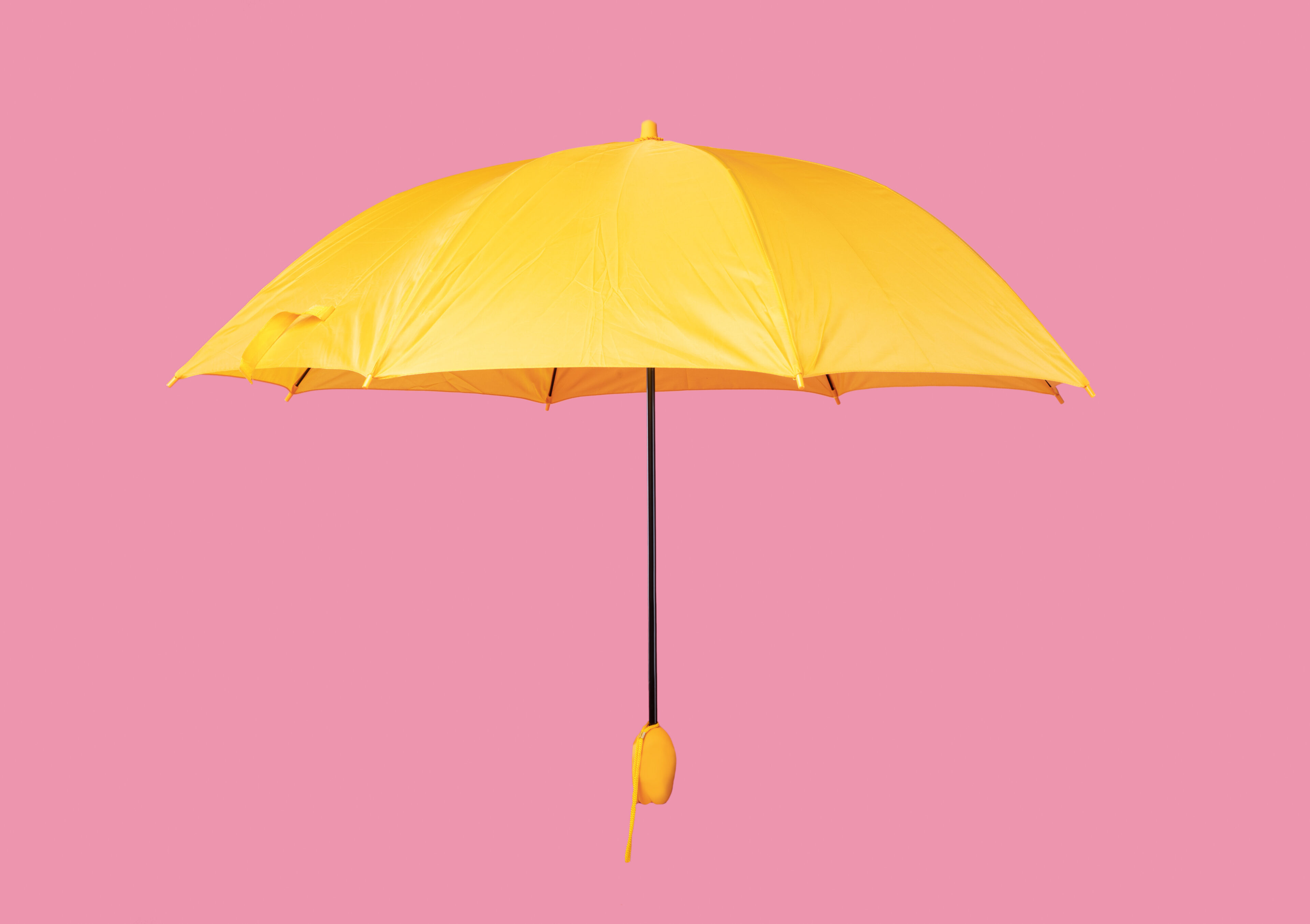 Umbrella is a protector which helps keep your hair away from UV