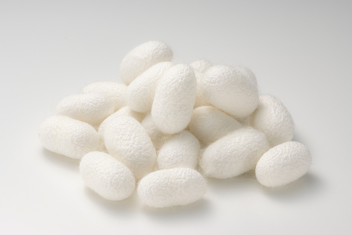 Is BioSilk Good for Your Hair? Exploring the Pros and Cons Hood MWR