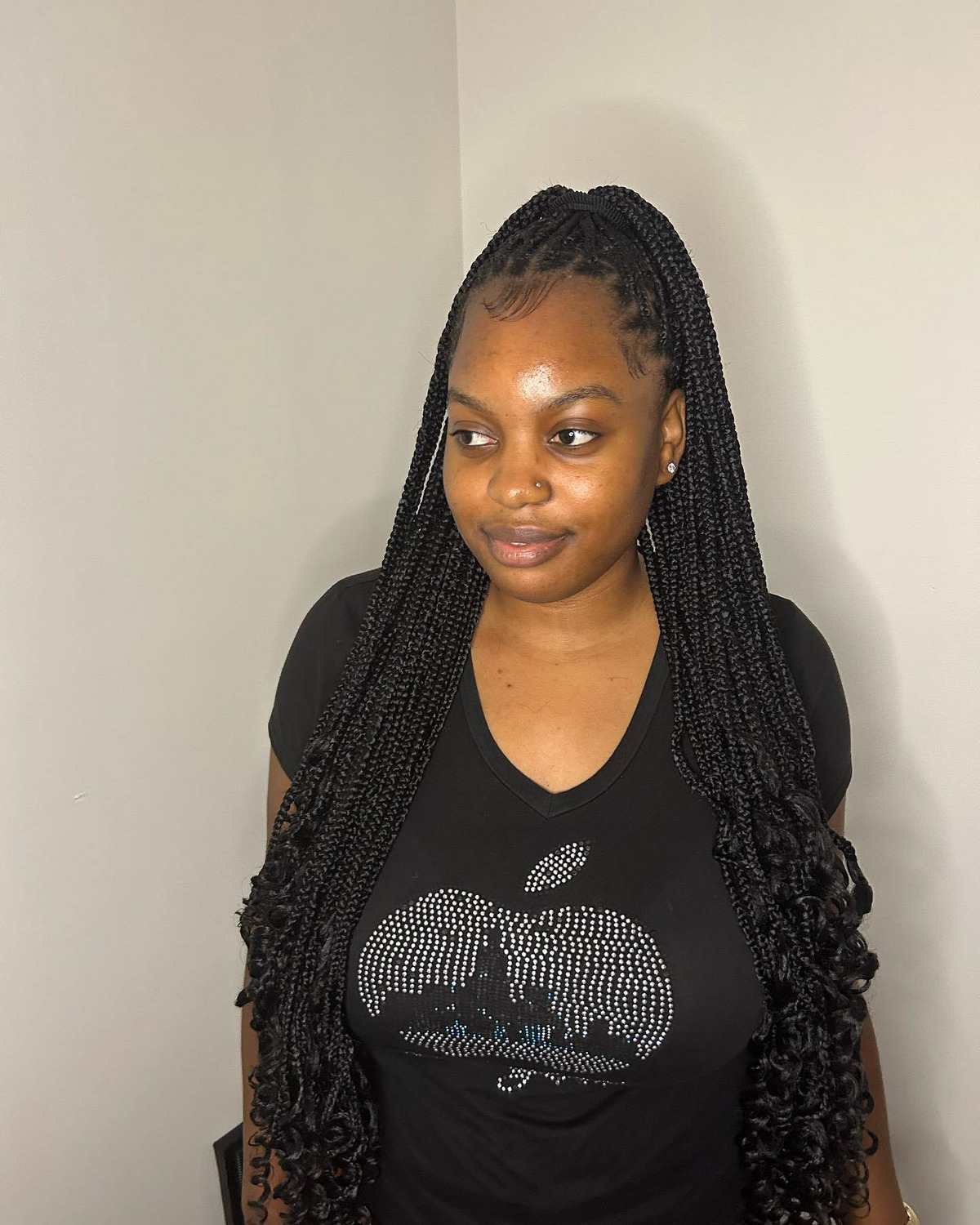 Small braids tied in a high ponytail