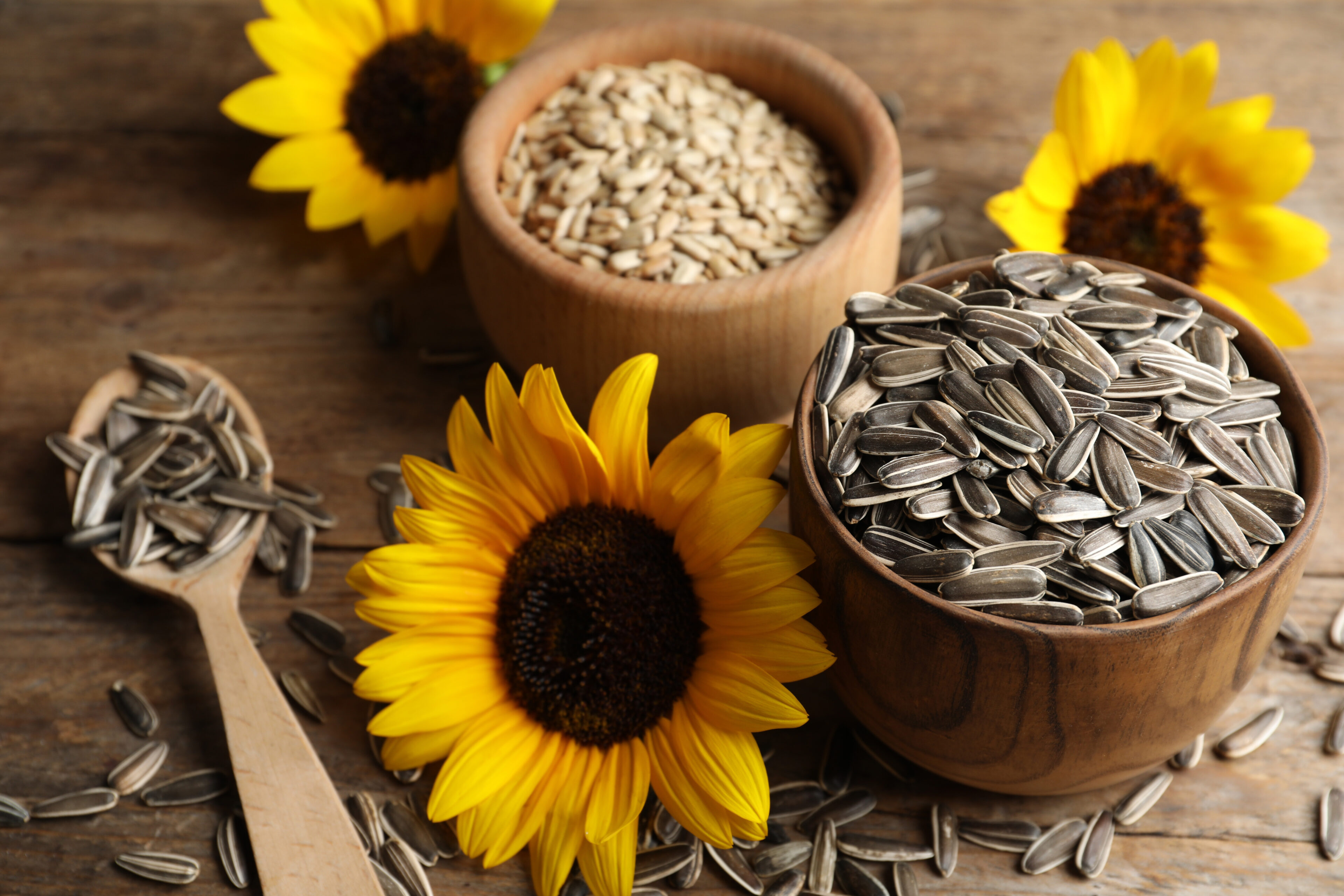 Sunflower seeds: Nutrient-rich hair boosters