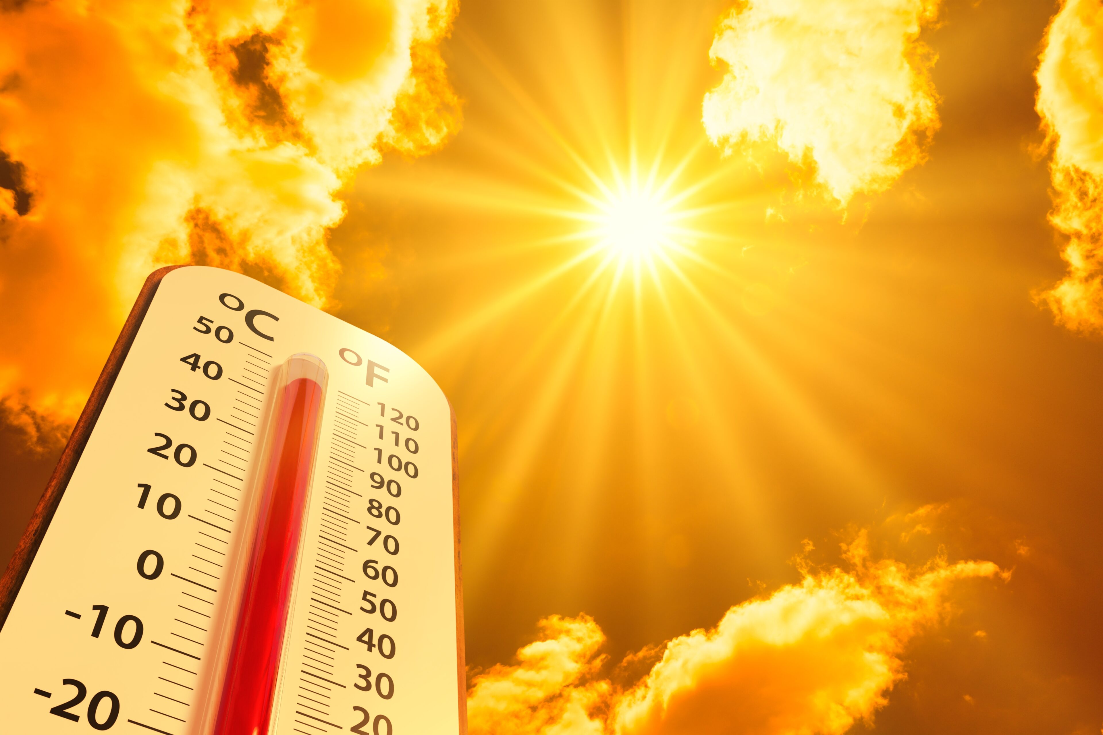 The temperature and environment