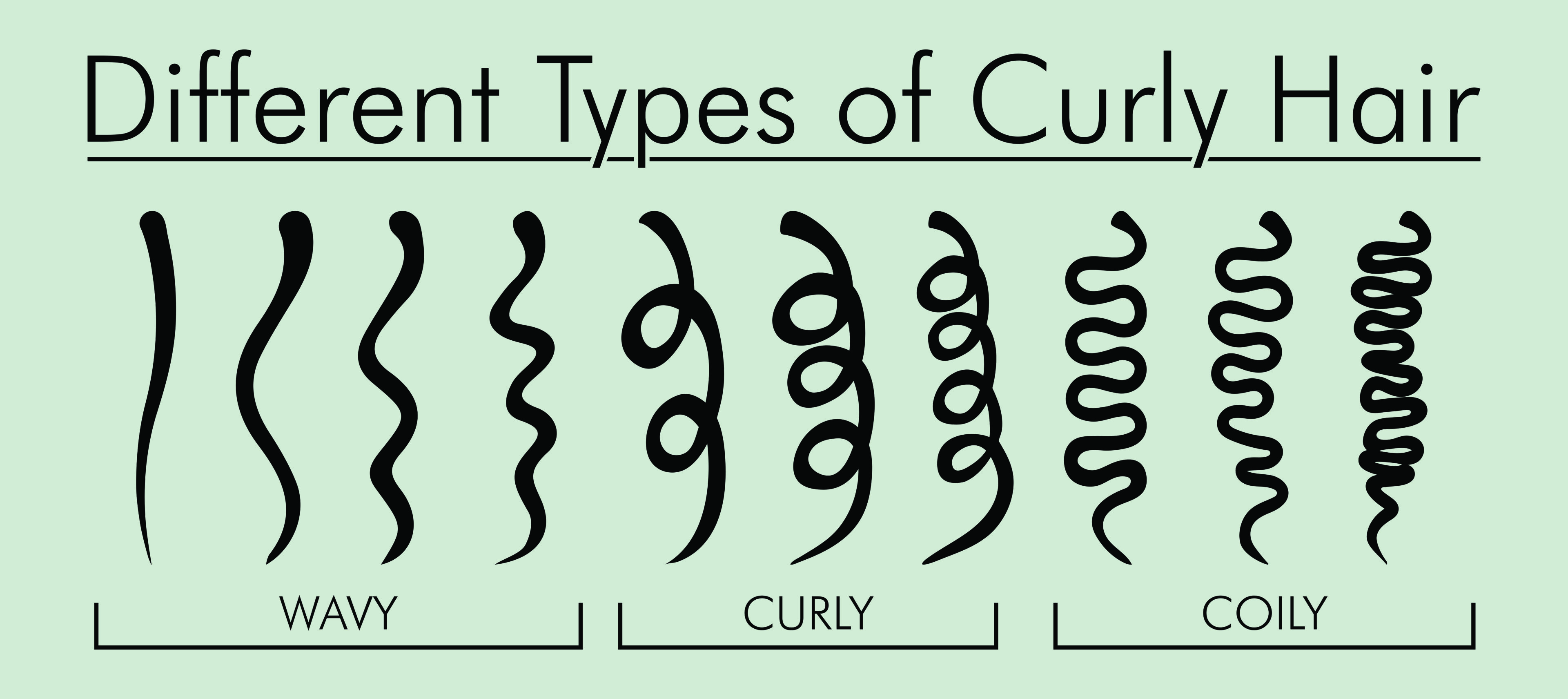 The NaturallyCurly Hair Typing System
