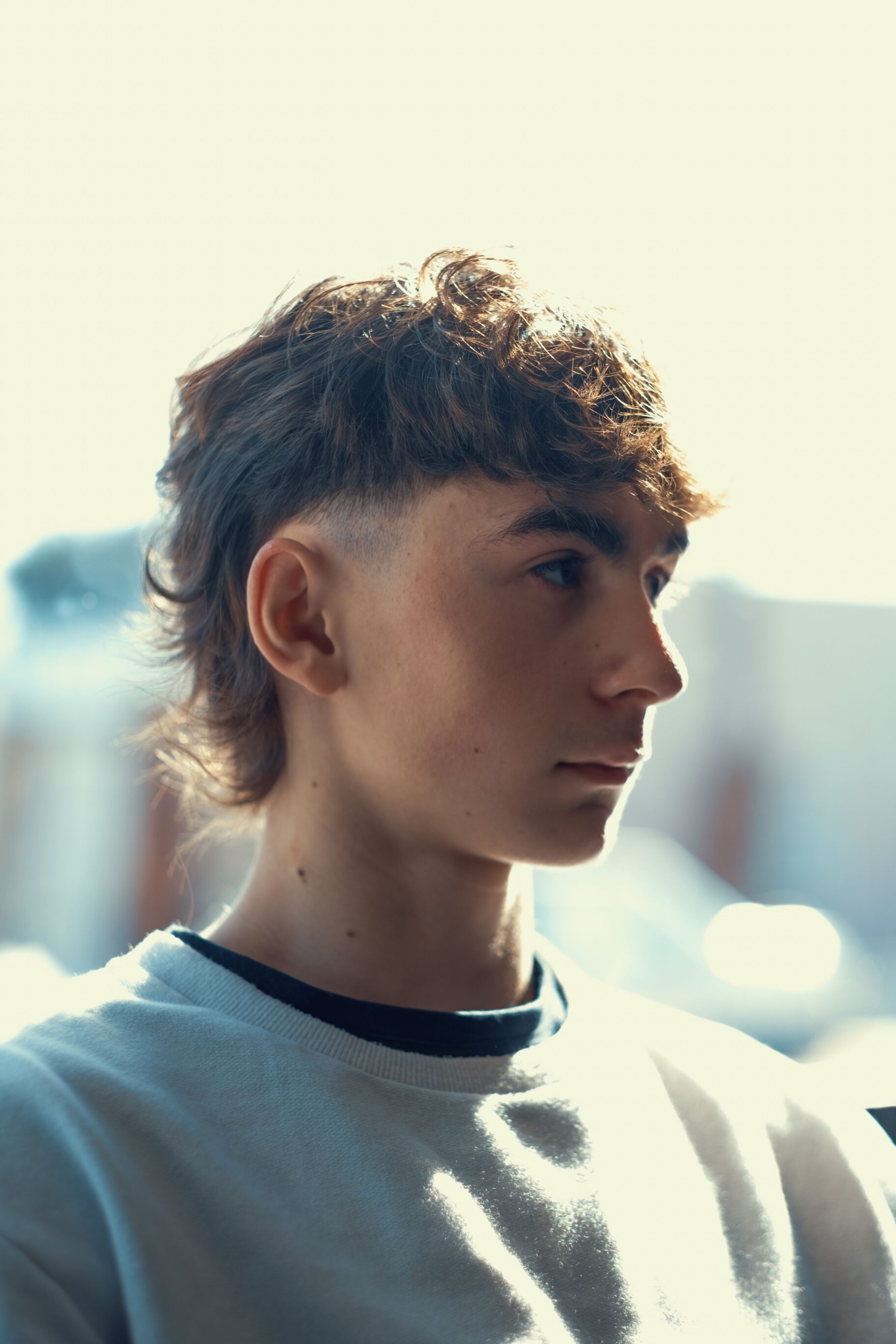 The Shaggy Mullet