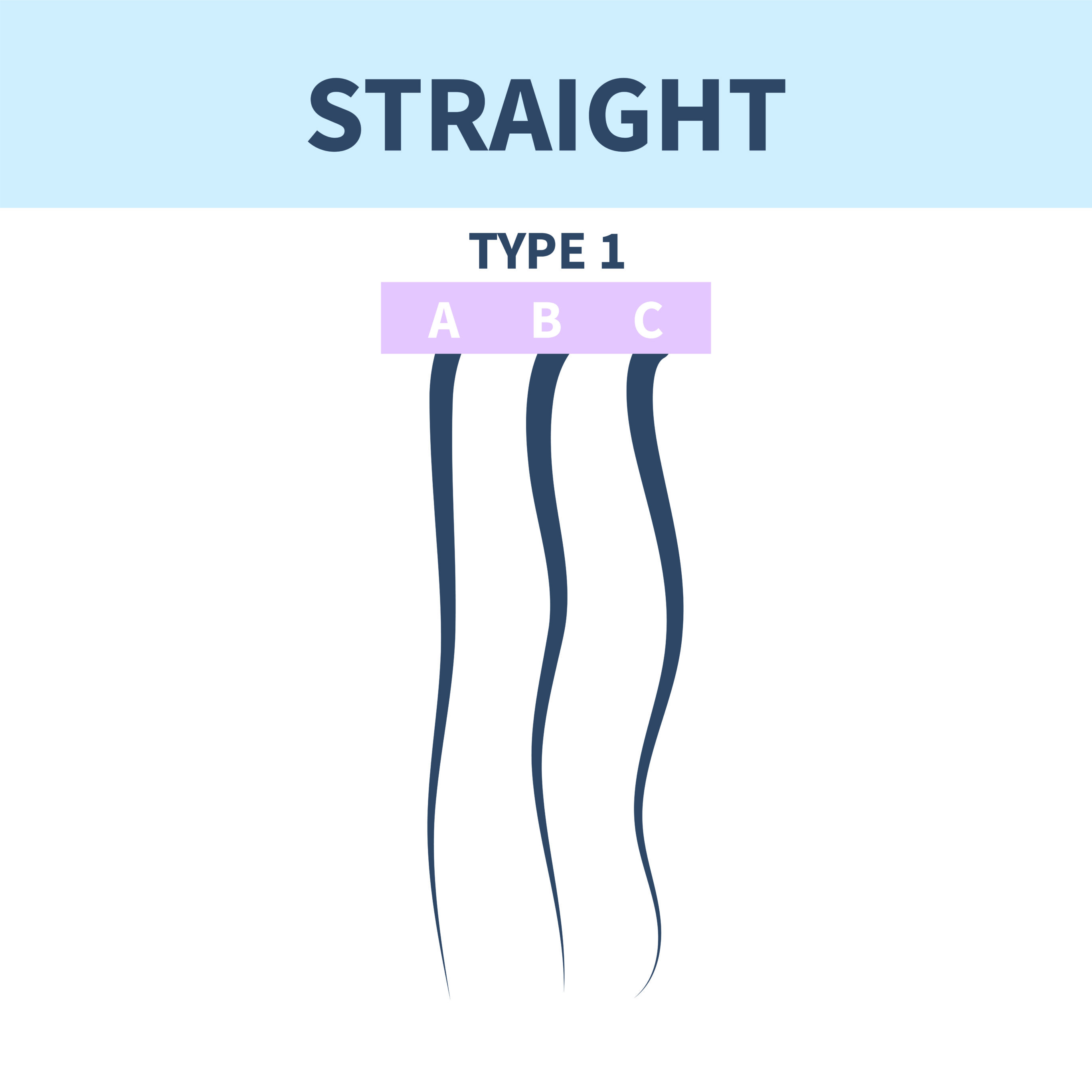 Type 1 Hair