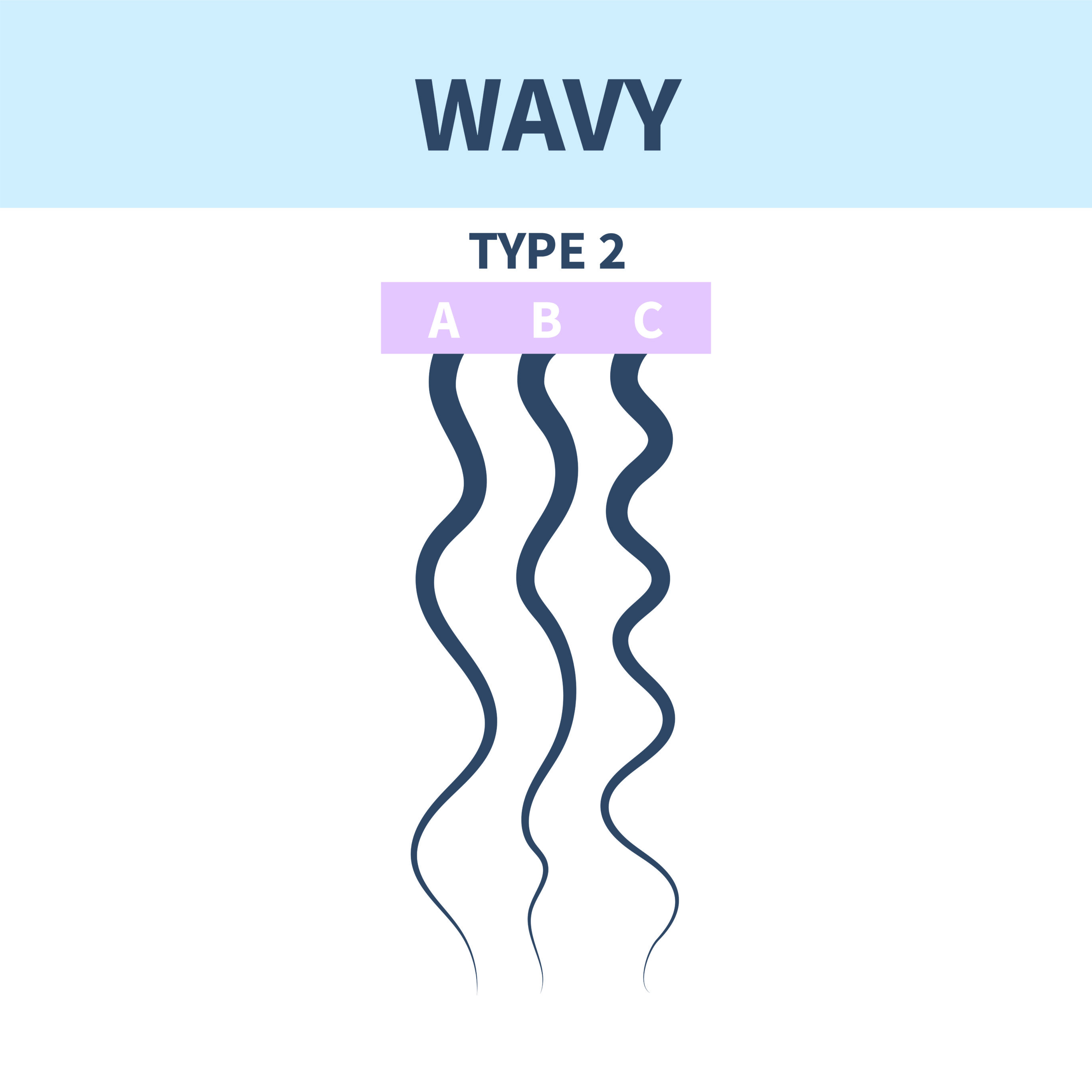 Type 2 Hair
