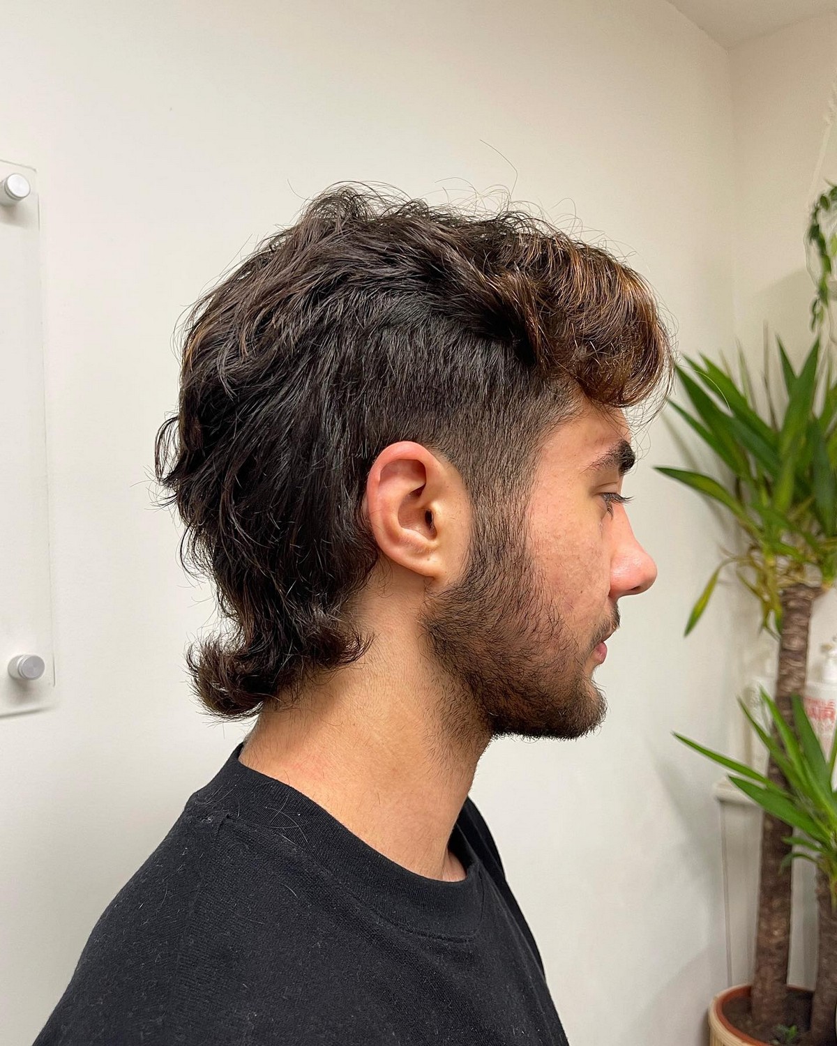 Mullet Hair With Highlights 
