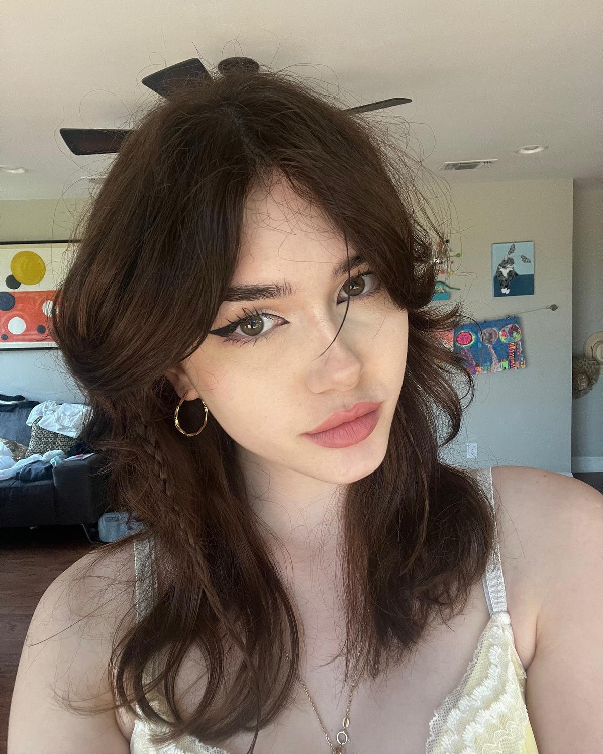 Shaggy With Mini Braid Hairstyle