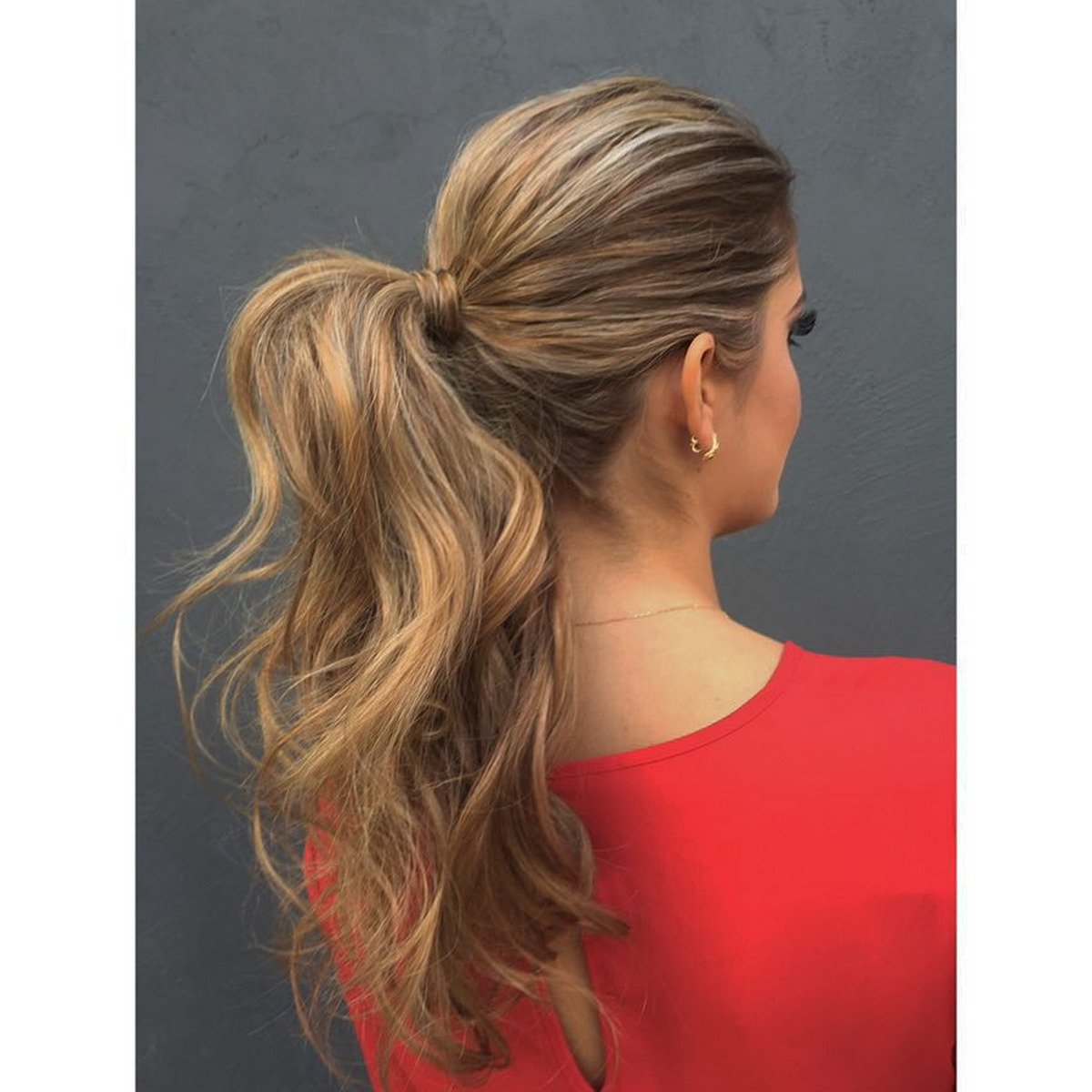 Voluminous Frizzy Wavy Ponytail