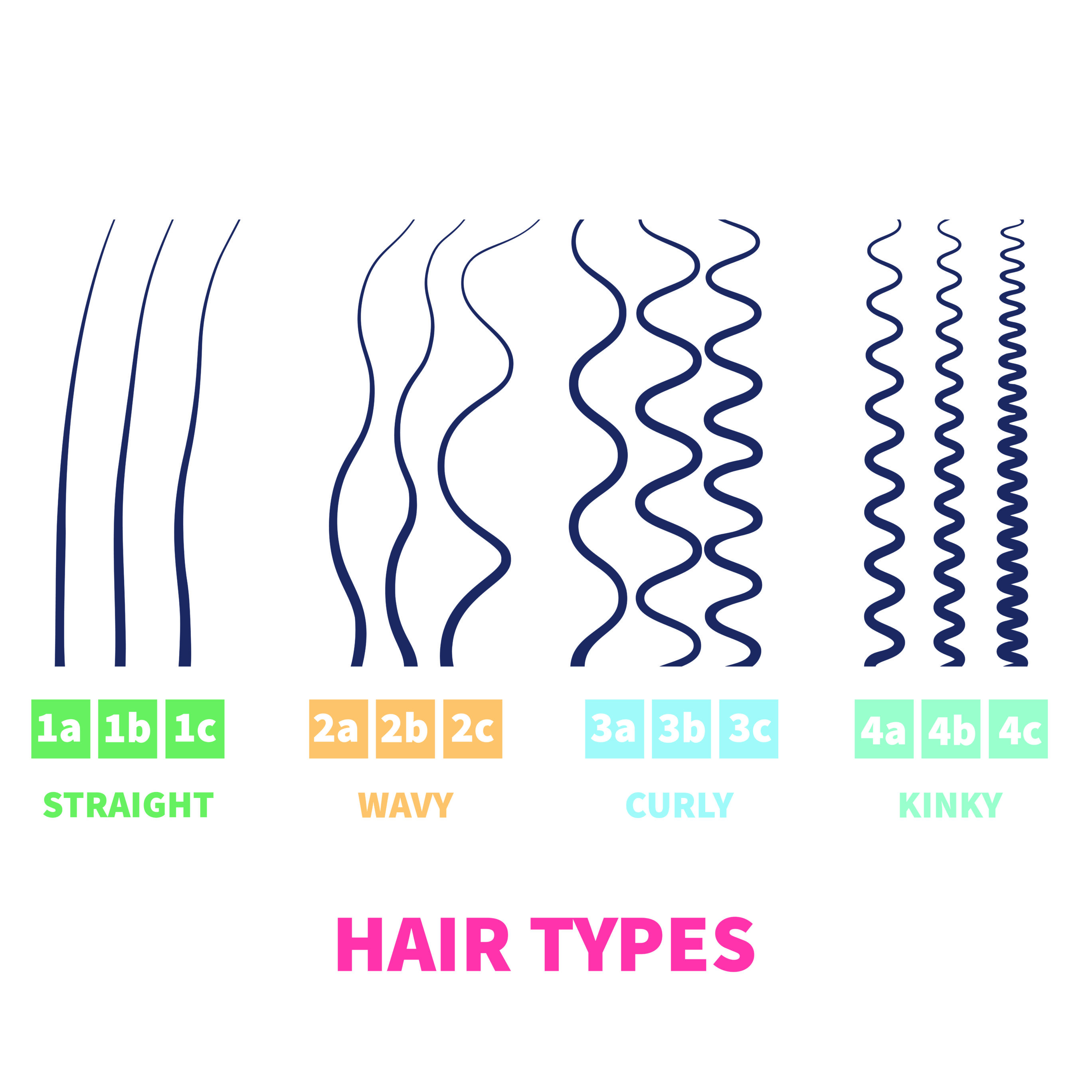 4 Hair Types From Straight Hair To Kinky Hair