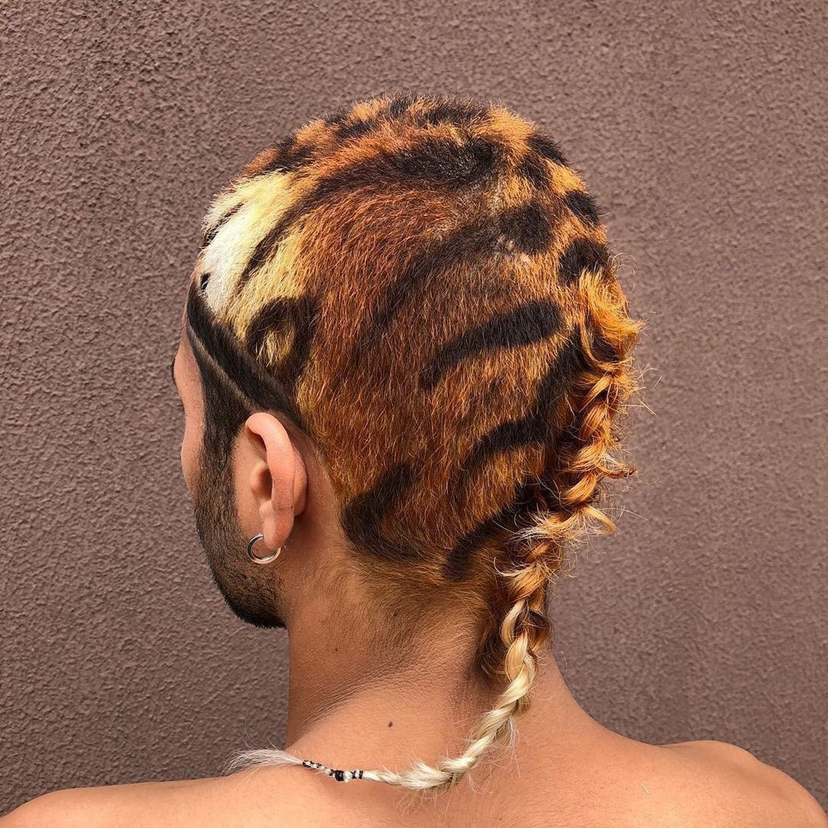 Braided Tail In Tiger Inspired Bald