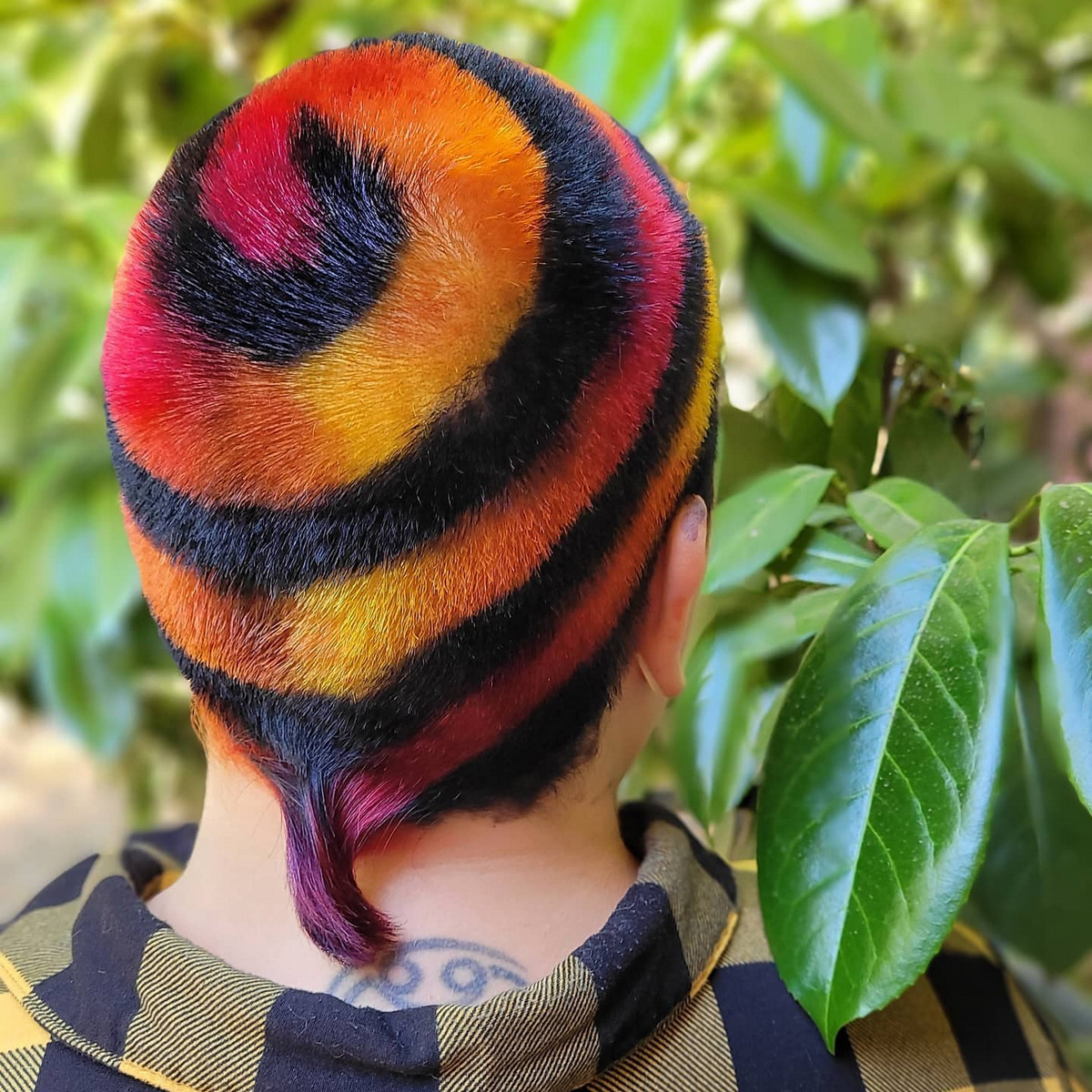 Clipper Cut With Short Tail
