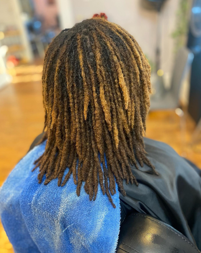 The Stages Of Locs From Starter Stage To Rooted Stage Hood MWR