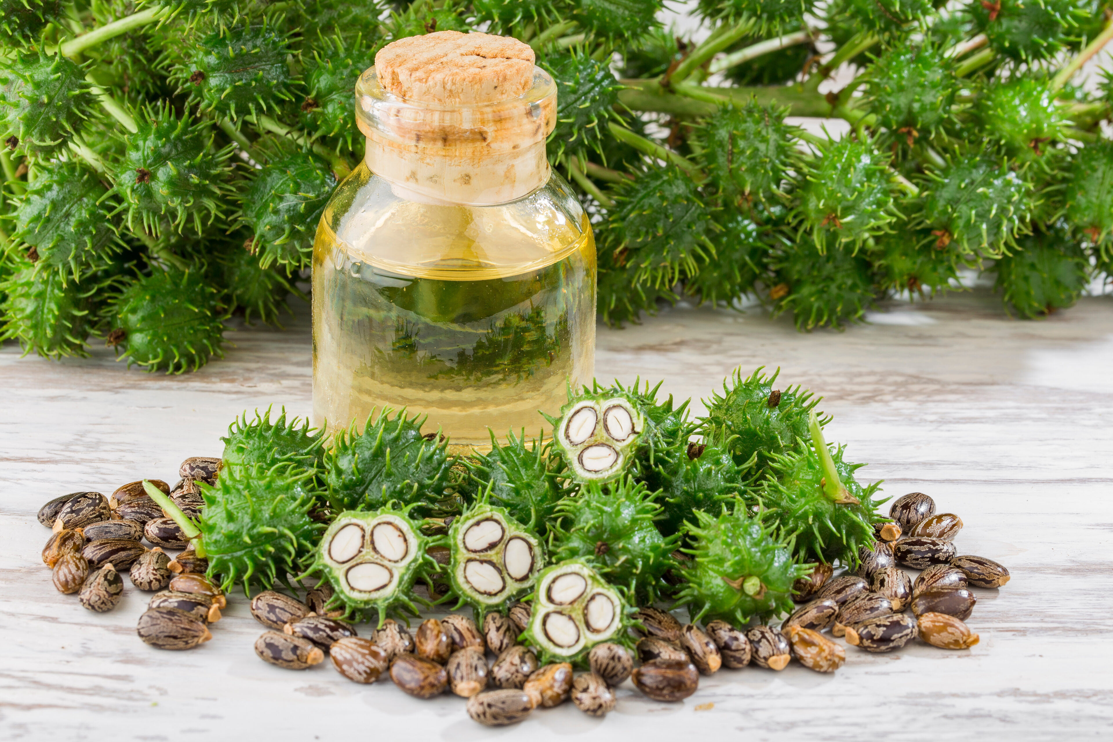 Jamaican Black Castor Oil