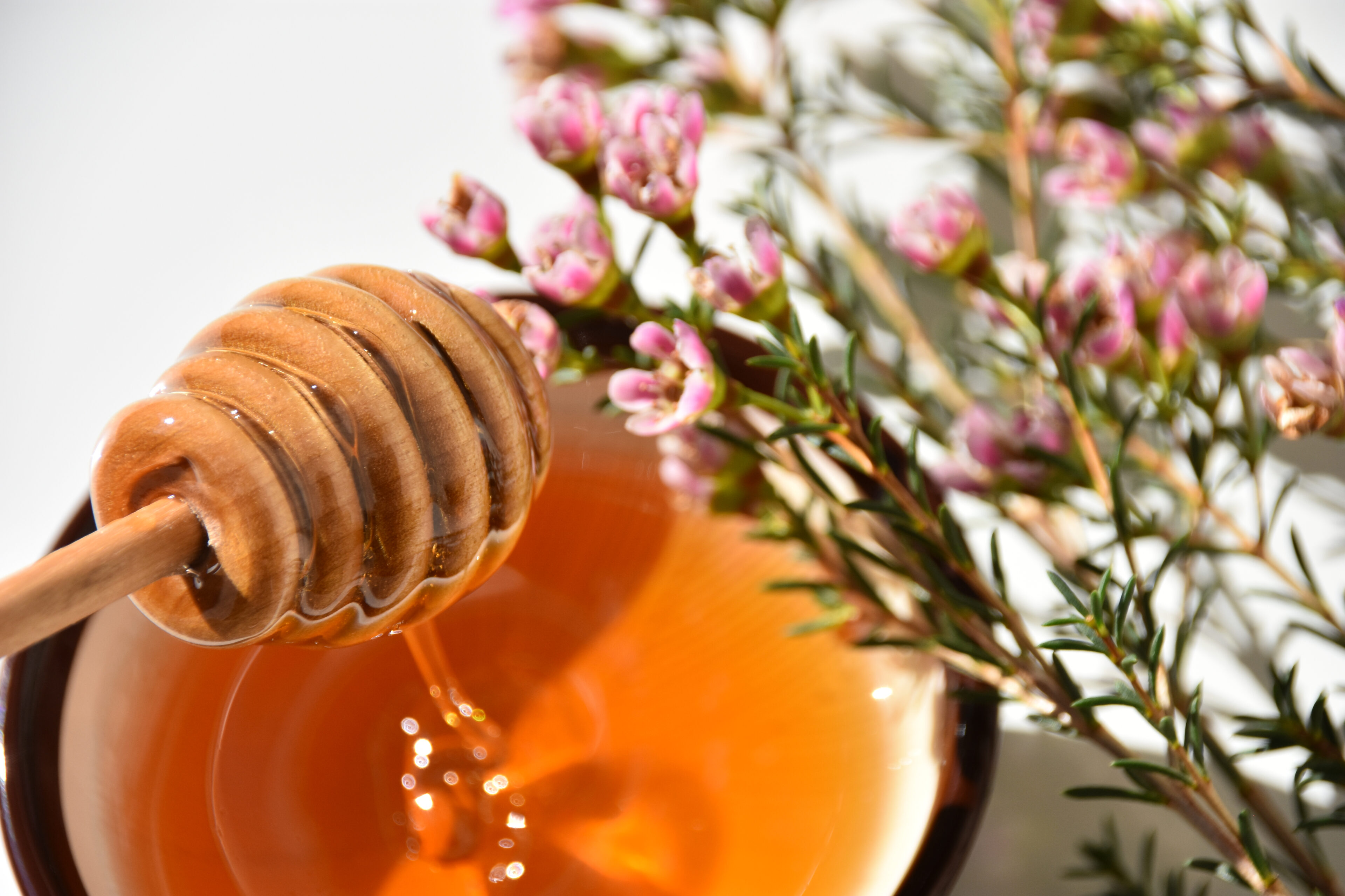 Manuka Honey via Shutterstock