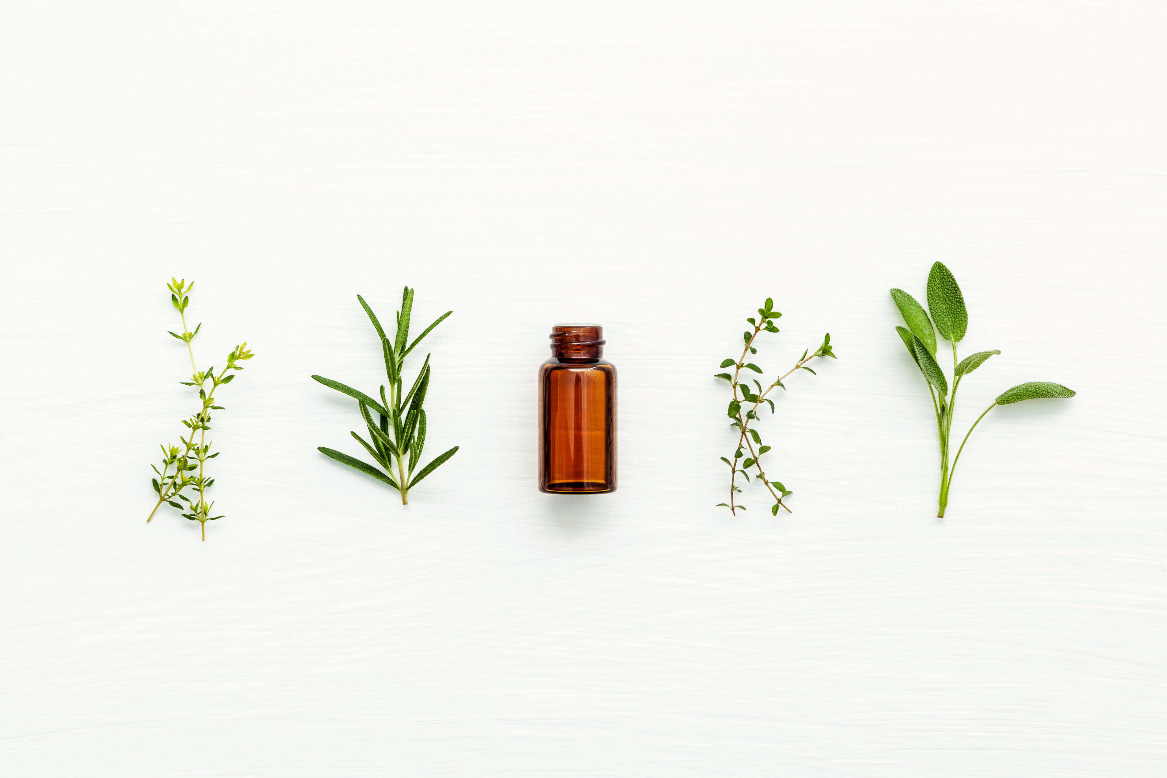 Ingredients of kristin ess products