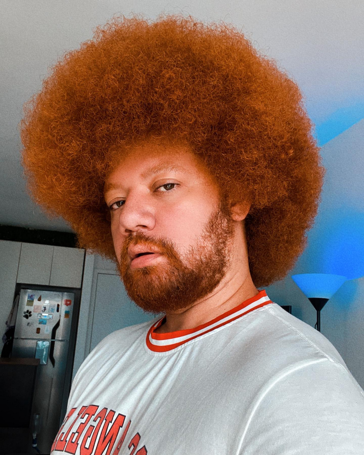 Type 4C Hair