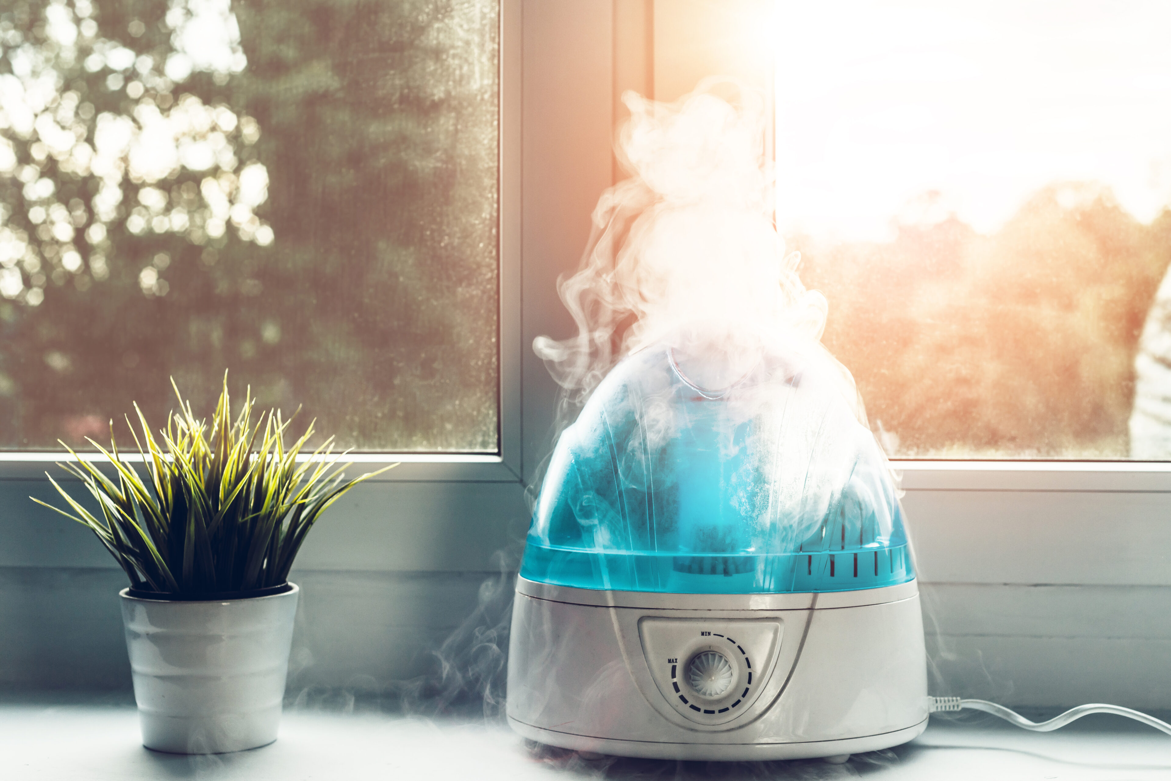 Use a humidifier for relief